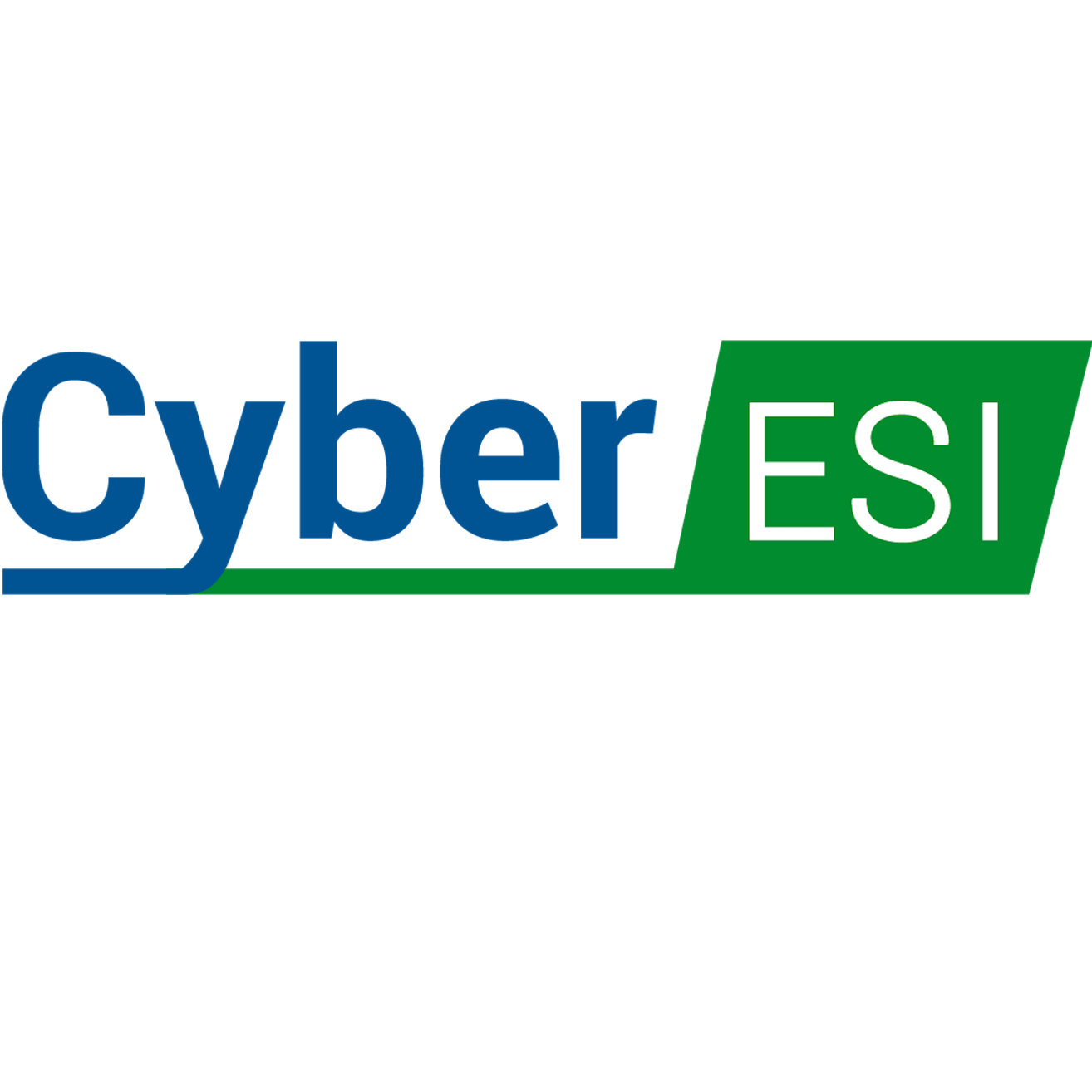 Cybersecurity Advisor and Project Manager