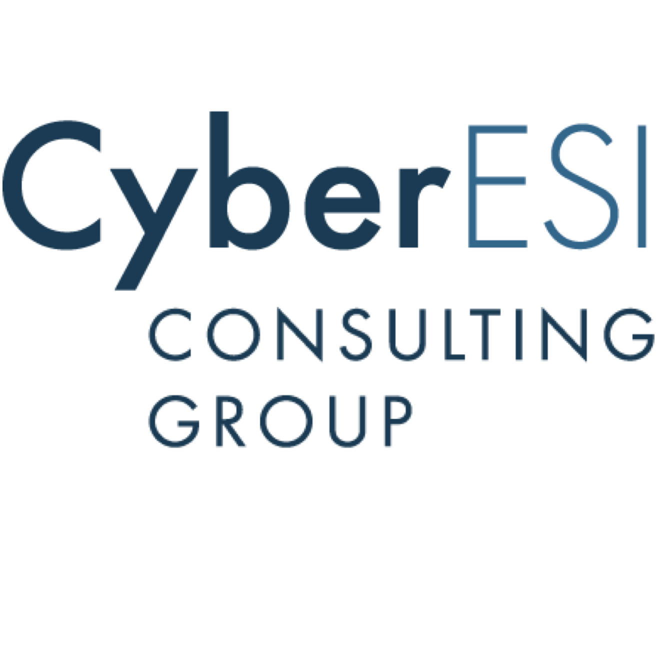 CyberESI Consulting Group
