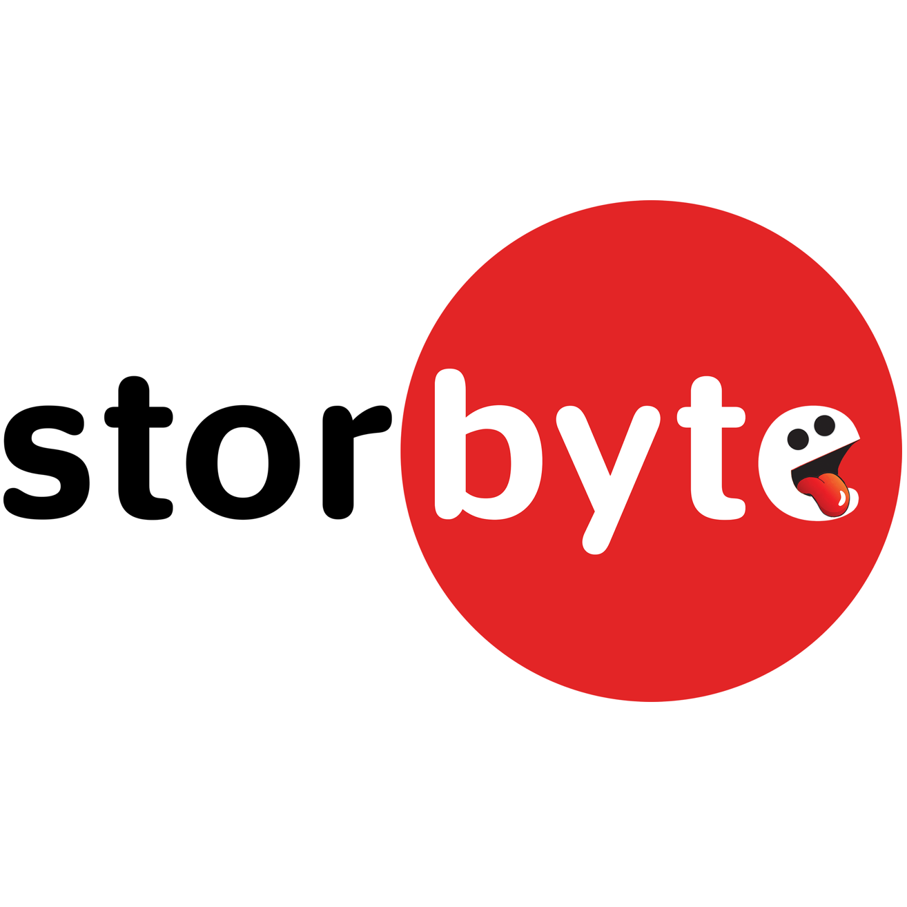 StorByte
